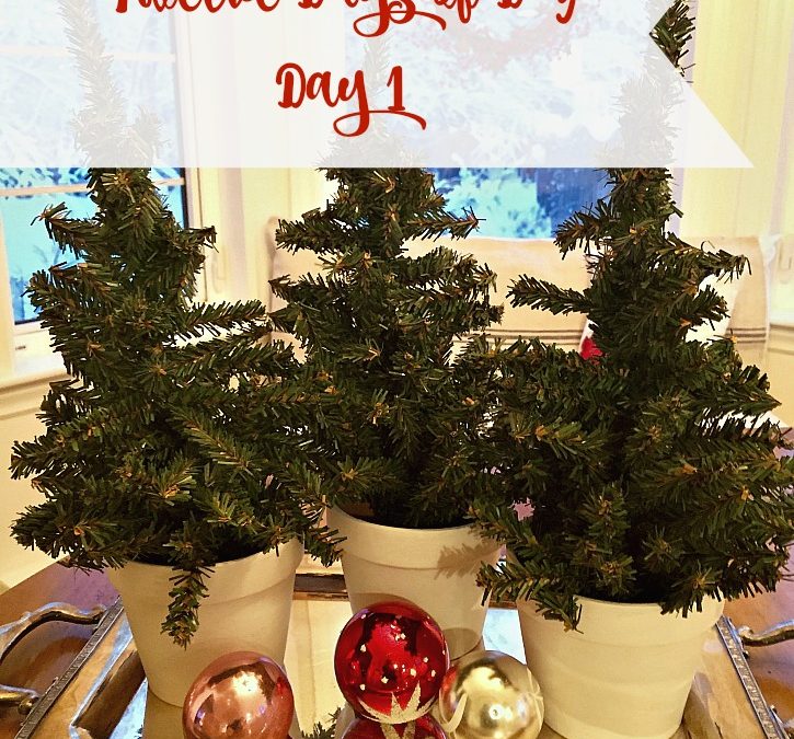 Easy Holiday DIY –  Painted Pots