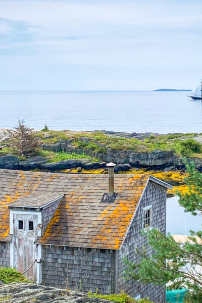 Bluenose II Sails By the picturesque village of Blue Rocks, Nova Scotia near Lunenburg
