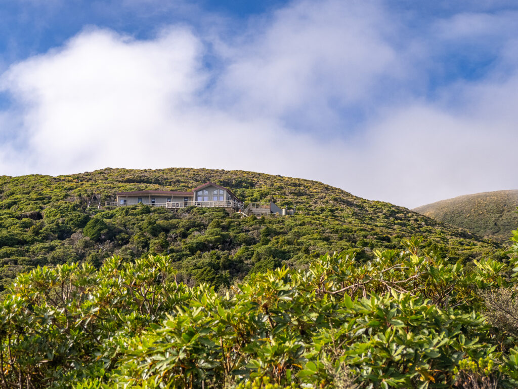 Holly Hut backcountry hiking hut on the Pouakai Track